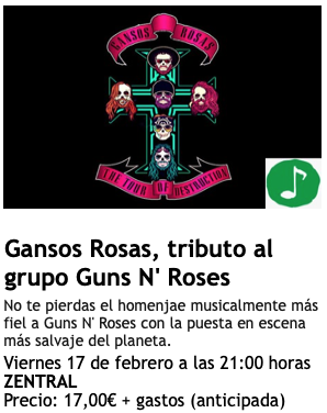 GANSOS ROSAS, tributo a Guns N’Roses